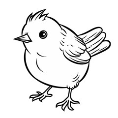 Bird,  colouring book for kids, PNG illustration	