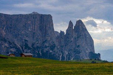 Alpe di SIusi  in estate