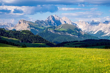 Fototapeta na wymiar Alpe di SIusi in estate