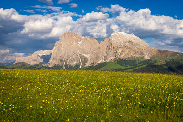 Alpe di SIusi  in estate