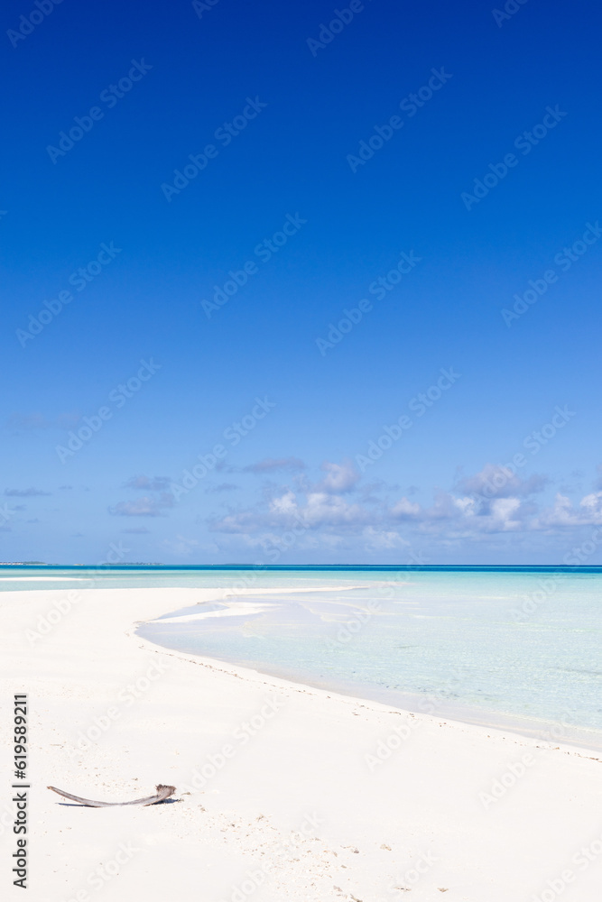 Wall mural Beautiful tropical Maldives island with a white sandy beach