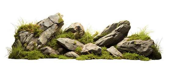 grass fields meadow with rocks on transparent background, png