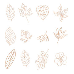 A set of leaves decorations with brown contour in rows on white background in outline art for webs, cards, wallpapers, posters