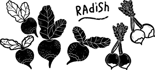 Radish. Vector set of black design elements, hand drawn in linocut style, minimalism, scandinavian style, graphics.