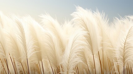 Pampas grass outdoor in light pastel colors. Generative AI