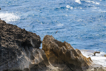 Arecibo cueva del indio rock texture formations landscape in the coast of puerto rico