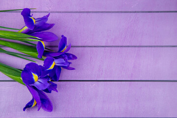 Purple irises lie in a bouquet on the side on a purple wooden background with a place for text. High quality photo