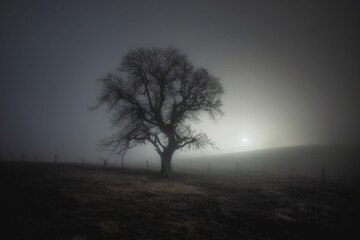 Eerie fog stands alone against a black backdrop. Generative AI