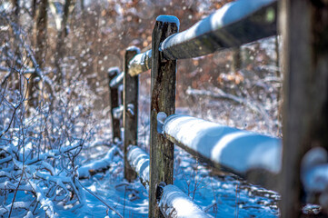Sunny winter day and snow falls on the fence.