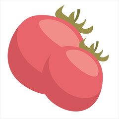 illustration of a tomato