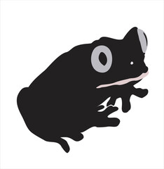 Frog illustration cute