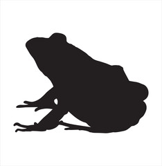 Frog illustration cute