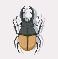 stag beetle vector illustration