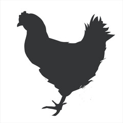 Cute rooster icon