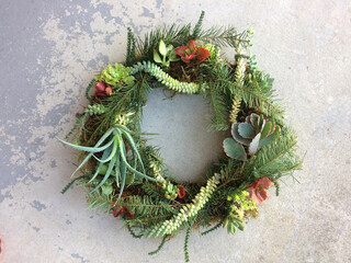 succulent wreath 3 © Cheri