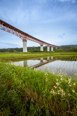 A long highway bridge over rice paddies in Japan