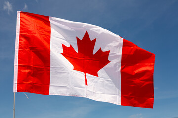 On clear sunny day,national flag of Canada flies against blue sky.Canadian flag is flying on...