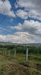 Fototapeta na wymiar Paisajes de Pátzcuaro, Michoacán, México, en donde se observa la naturaleza, bosque, nubes, cielo azul, rayos de sol, vegetación, árboles, plantas, y en ocasiones ríos desde la carretera. 
