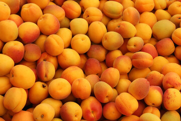 natural background of ripe apricots