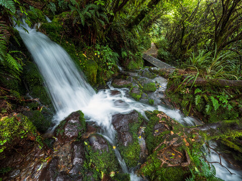 New Zealand, Taranaki, Egmont National Park, Waterfall in forest