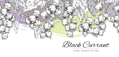 Seamless border with currant on color splashes vector illustration isolated.