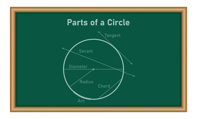 Fototapeta premium Parts of a circle diagram in mathematics. Tangent, secant, diameter, radius, chord and arc. Circle terms. Math resources for teachers. Vector illustration isolated on white background.