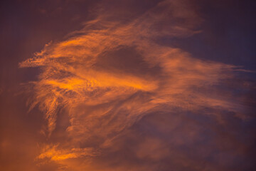 Fototapeta premium Orange and Purple Clouds Resemble Bird In The Sky