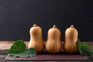 Butternut squash pumpkin on wooden table with black background, Organic vegetable in Autumn season