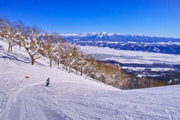 快晴の富良野スキー場から見る十勝岳連峰、富良野ゾーンの標高最高地点からの中級者コースを滑るスキーヤー
