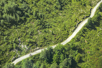 aerial view of road in green forest with a bike rider