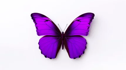 Fotobehang Grunge vlinders beautiful butterfly png, purple blank painted butterfly with wings spread out flying insect
