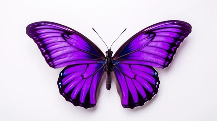 Photo sur Plexiglas Papillons en grunge beautiful butterfly png, purple blank painted butterfly with wings spread out flying insect