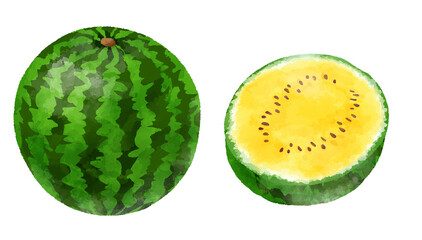 黄色いスイカのイラスト　手描き　水彩風