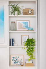 Fototapeta na wymiar Interior design. Shelves with stylish accessories, potted plants and pictures near white wall