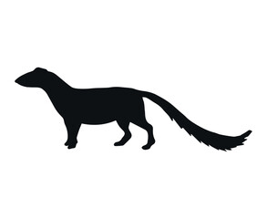 Vector hand drawn mongoose silhouette isolated on white background