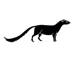 Vector hand drawn doodle sketch black mongoose isolated on white background