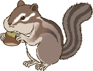 食事するシマリス