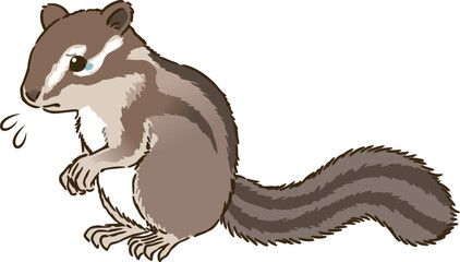 悲しむシマリス