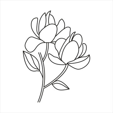 Minimal Black and White Illustration: Single Line Art of Magnolia Flowers on a White Background