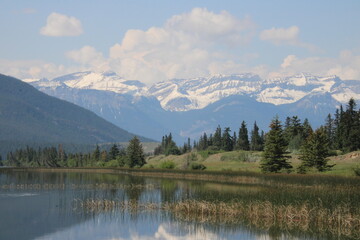 Fototapeta na wymiar Trees Along The Lake, Jasper National Park, Alberta