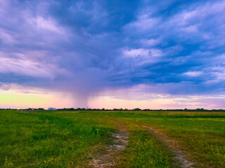 field and sky