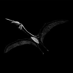 Quetzalcoatlus northropi hand drawing vector isolated on black background. © tya studio