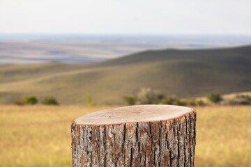 Tree trunk Podium on nature background,