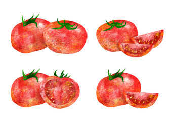 トマト　手描き　イラスト　セット