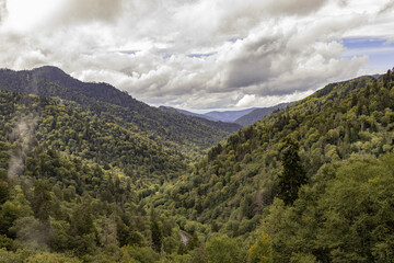 Wide view of sunny summer Smokey Mountains in the Great Smokey Mountains National Park