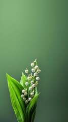 Fototapeta premium Lily of the valley flower blurred background. AI Generated