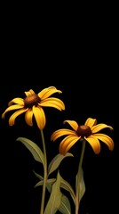 Black eye susan flower blurred background. AI Generated