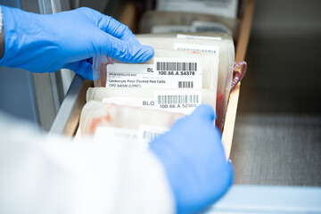 Close up scientist hand holding red blood bag in storage refrigerator at blood bank unit laboratory.Blood bags received from blood donations will be used in patients.Save life medical concept. - obrazy, fototapety, plakaty