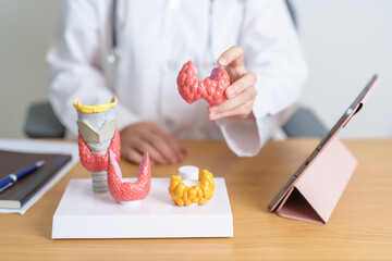 Doctor with human Thyroid anatomy model and tablet. Hyperthyroidism, Hypothyroidism, Hashimoto...