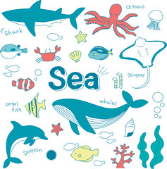 Obraz premium 海の生き物セット
